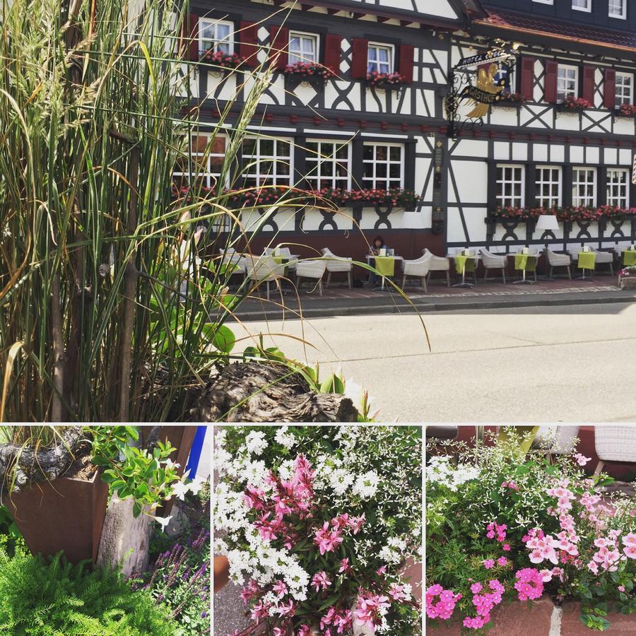 Hotel Restaurant Der Engel, ซัสบาควัลเดิน ภายนอก รูปภาพ